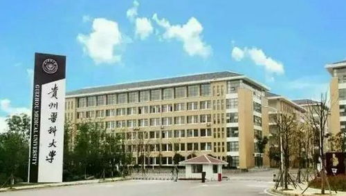 贵州医科大学2020年硕士研究生招生简章 信息技术外包服务的创新实践